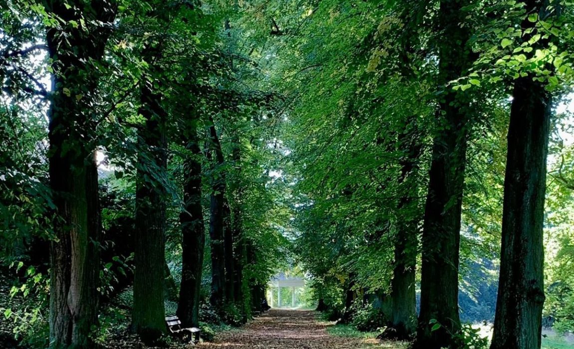 Einkehren in einen Ort der Stille